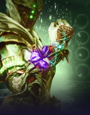 Briarbinds Exotic Gauntlets (Warlock)