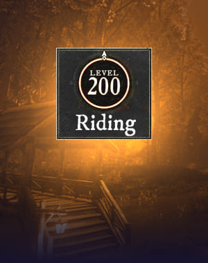 Riding Skill Leveling