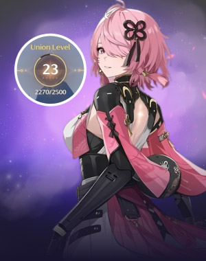 Union Leveling Boost