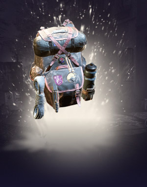 Acosta's Go-Bag Exotic Boost