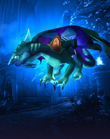 Netherwing Reputation