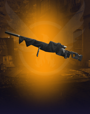 Shroud Sniper Rifle