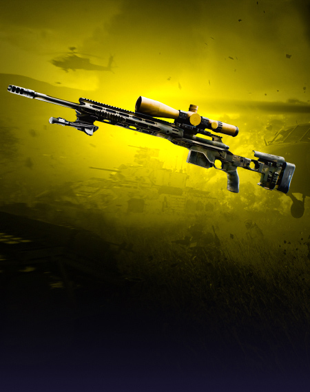 Sniper Rifles Leveling