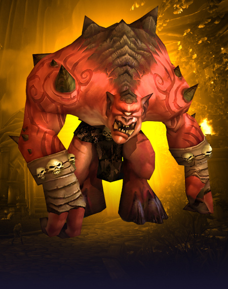 TBC Anniversary Gruul's Lair Raid